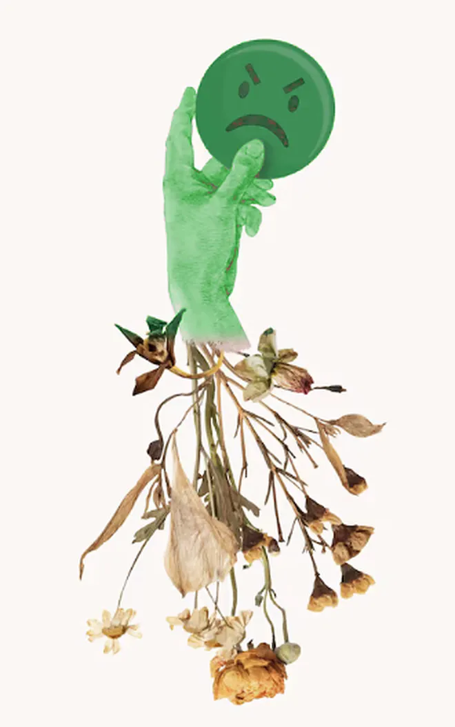 Collage : une main verte tient un émoji boudeur au-dessus d’un bouquet de fleurs fanées