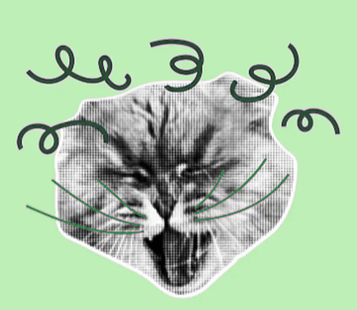 Collage : un chat qui feule, entouré de gribouillis verts