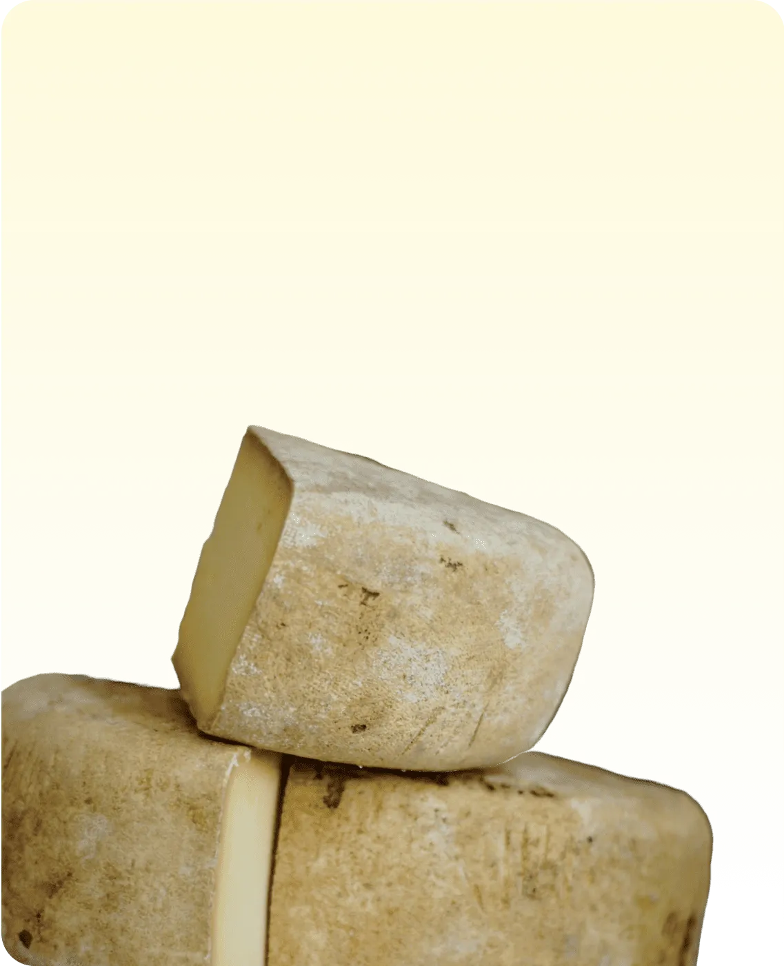 Programme de fidélité Lecy en fromageries