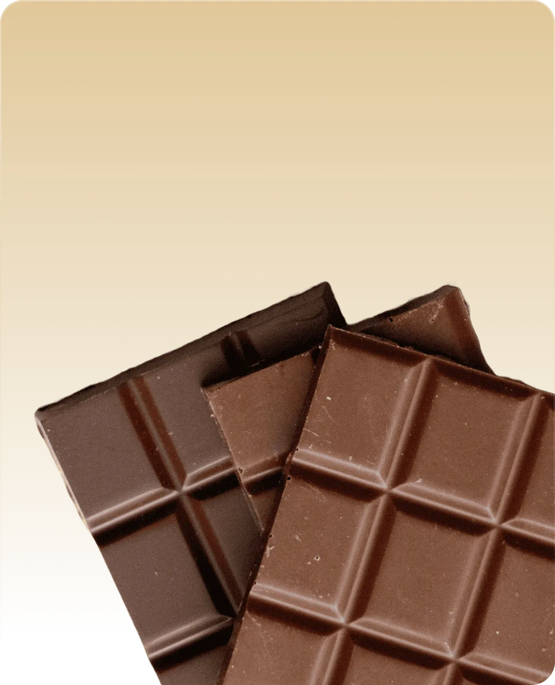 Programme de fidélité Lecy en chocolateries